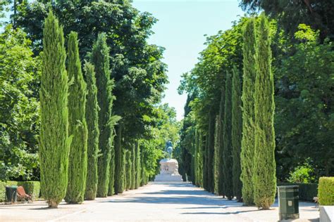 Madrid El Retiro Park Self Guided Audio Tour