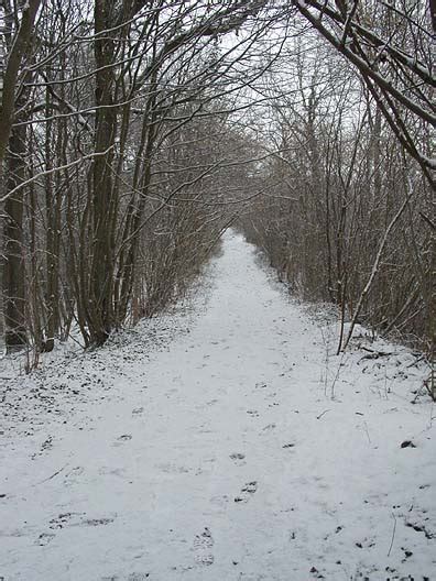 Winter in the Ardennes