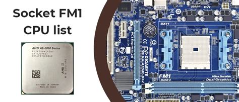 FM1 CPU list, specifications and best CPUs