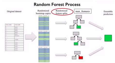 Understanding Random Forest Understanding Data Science