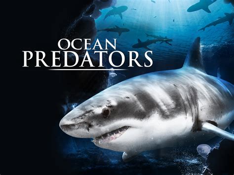 Prime Video: Ocean Predators - Season 1