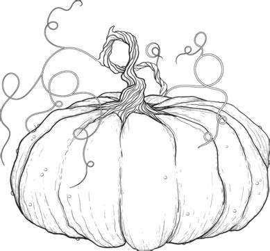 Big Pumpkin Vector Art PNG Black And White Drawing Of Big Pumpkin With