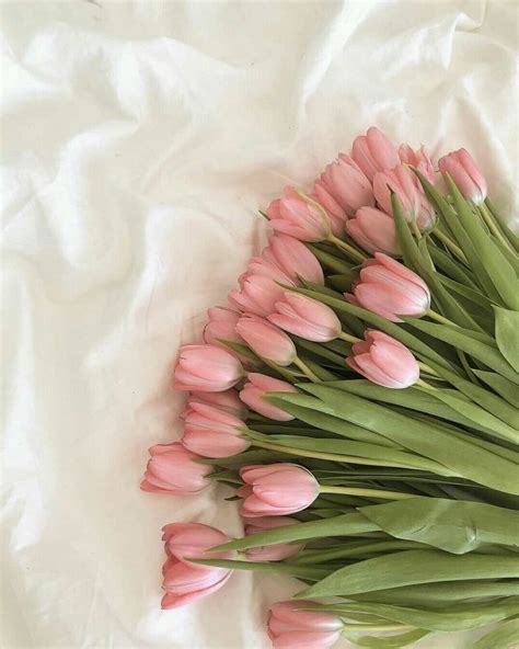 Pin de Heba wa🌌 en flowers.. | Flores bonitas, Tulipanes en florero, Flores tulipanes