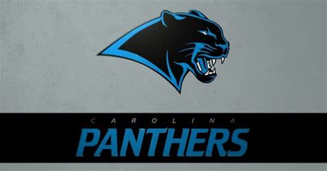 Panthers Concept Logo Nfl Concept Logos Pinterest Logos