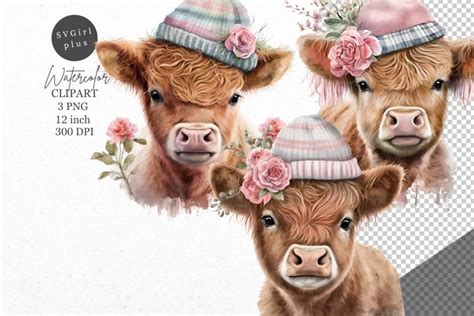 Calf clipart, Farm animals clipart, Watercolor (3854627)