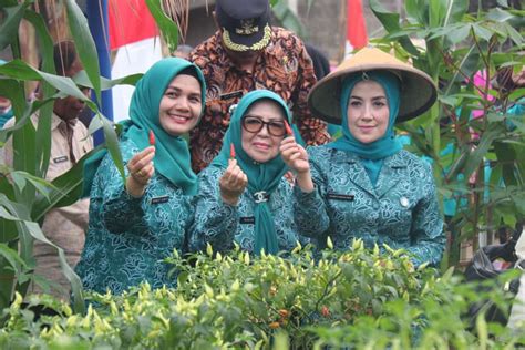 Pekarangan Jadi Sumber Gizi Tp Pkk Desa Cimanggis Masuk Nominasi