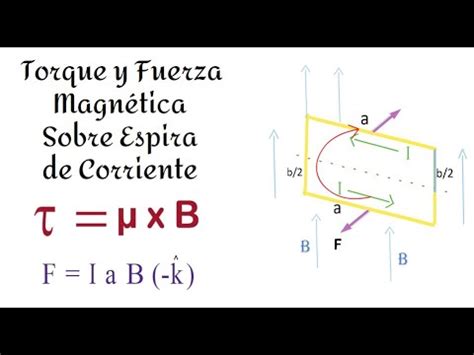 Clase Torque y Fuerza Magnética Sobre Espira de Corriente YouTube