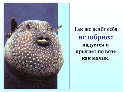 Приспособления защиты у рыб - online presentation