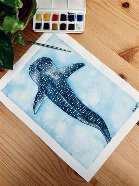 Watercolor Whale Shark🩵 Squalo Balena🩵 Guarda I Vari Passaggi