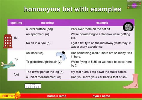 Homonyms Definition And Examples Mingle Ish