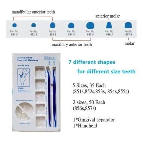 Dental Transparent Cervical Matrices Composite Gingival Retractor Clear