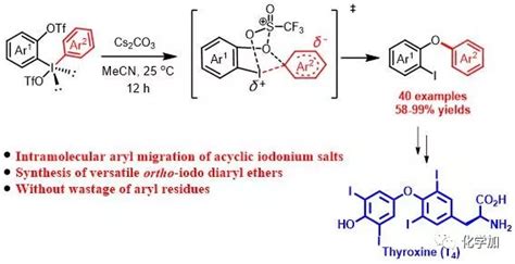 Angew 华东理工王利民、韩建伟科研小组高价碘化学在有机合成研究领域中的新进展ie