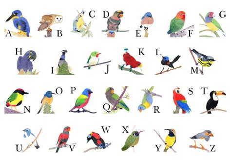 three letter animals birds or insects - vansbackpacksforschool