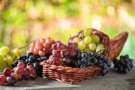 Cachos De Uvas Sobre A Mesa Velha De Madeira E Fundo De Outono Turvo E