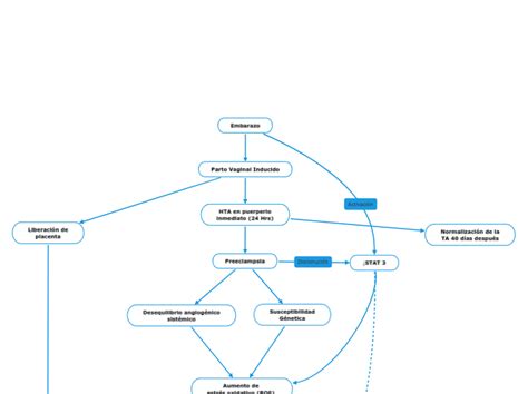 Embarazo Mind Map