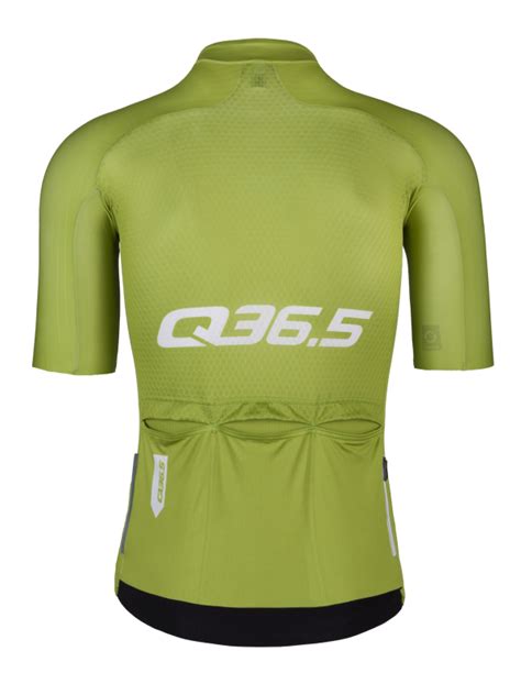 Cycling Gregarius Pro Signature Jersey Pistacchio Green Q36 5