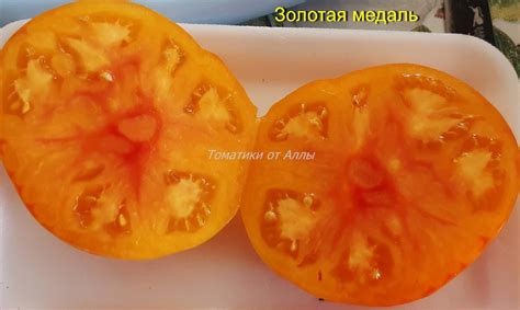 Томат Золотая медаль: описание сорта, ОТЗЫВЫ (6), фото, урожайность ...