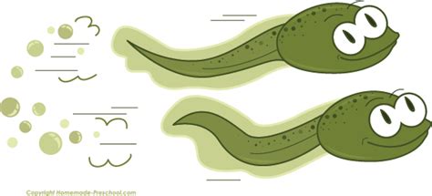 Tadpole Clipart & Look At Clip Art Images - ClipartLook