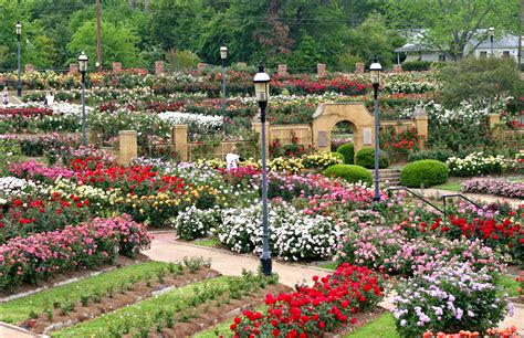 Tyler Texas Rose Garden, photographs, history, map | Jardines fotos