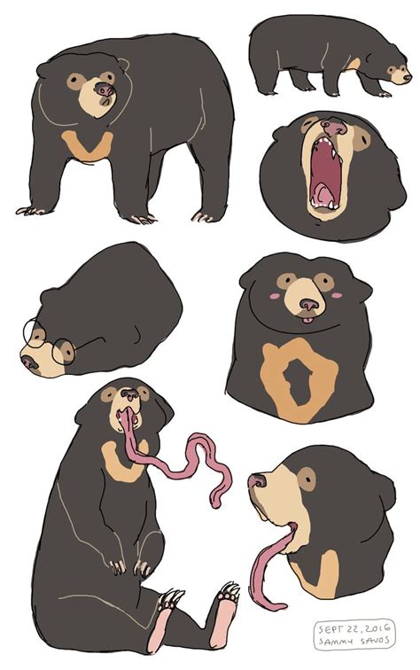 The Lovely Sun Bears Bear Art Cute Animal Drawings Cute Drawings