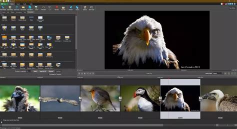 7 Best Free Animated Slideshow Makers