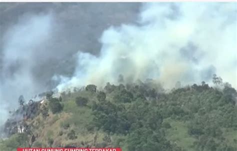 Kebakaran Hutan Di Gunung Sumbing Meluas