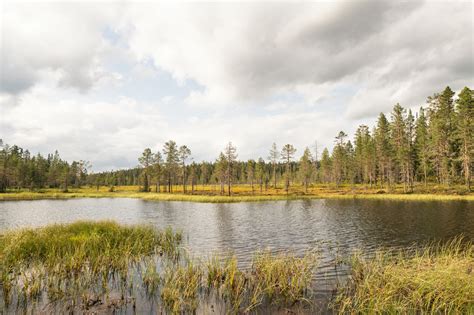 Que faire en Laponie finlandaise en été Itinéraire de 7 jours en