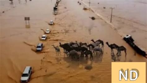 Floods In Saudi Arabia Water In The Desert Is A Miracle Frightening