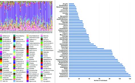 A Genus Level Oral Microbiome Composition 99 Genera Including