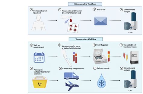 Metabolic Phenotyping Pipeline Comparison For Microsampling And