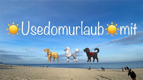 Ferienwohnung für Hundefreunde am Strand von Ahlbeck auf Usedom Haus