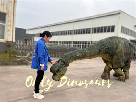 Brachiosaurus Jurassic World Costume | Only Dinosaurs