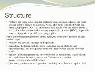 Proteins Pptx