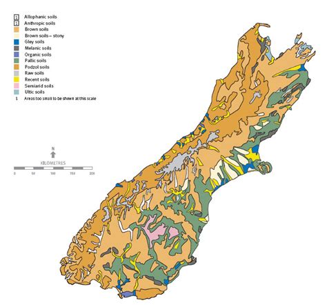 New Zealand A Geographic Perspective