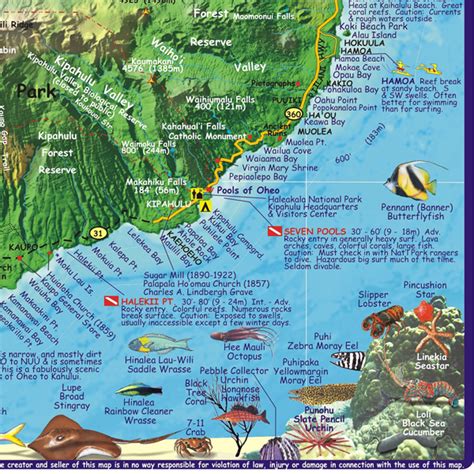 Maui Hawaii Diving Map - Maui Hawaii • mappery