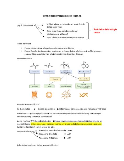 Resumen Examen Biolog A Celular Resumen Examen Biolog A Celular Qu