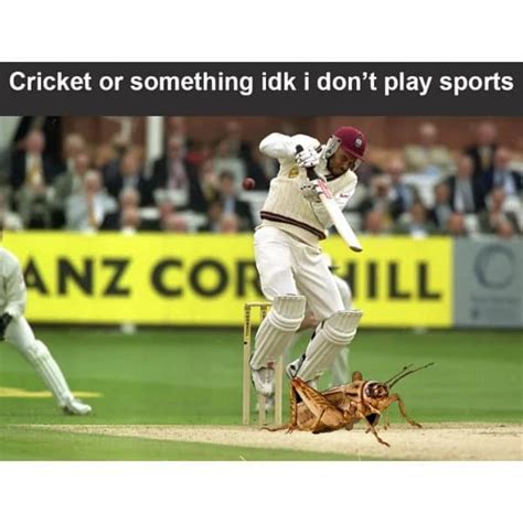 Cricket Memes: 17 Rib-Tickling Memes for Fans of Cricket