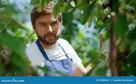 Jardineiro Homem Colhendo Galhos De Cereja No Retrato De Planta Es