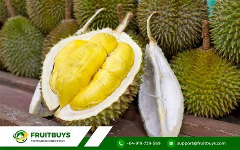 Unlock The Benefits Of Freeze Dried Durian Powder Everything You Need