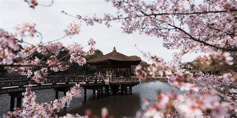 Things to do in Nara: Top Attractions in Japan's Ancient Capital