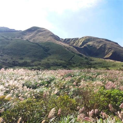 Yangmingshan National Park & Hot Spring Tour