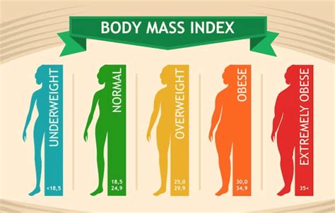 Types Of Body Mass At Guadalupe Carol Blog