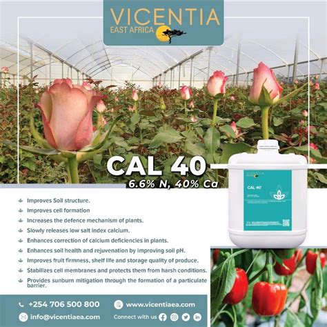 Critical Role of Calcium in Crop Production - Hortfresh Journal