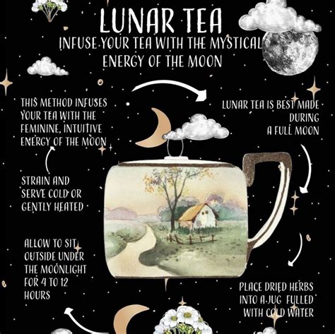 Wicca Witchcraft Wiccan Magick Pagan Reading Tea Leaves Kitchen