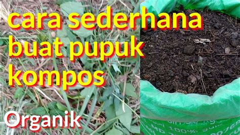 Cara Membuat Pupuk Kompos Dari Rumput Liar Sinautani