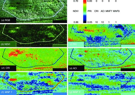 Maps Of Different Vegetation Indices Derived From Hyperspectral Images