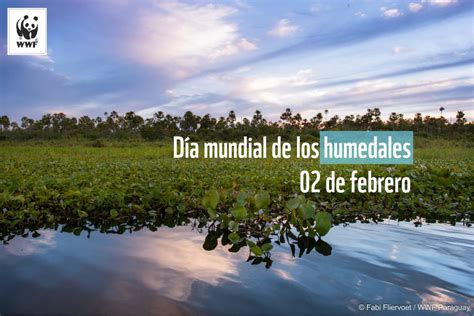 2 De Febrero Día Mundial De Los Humedales Wwf