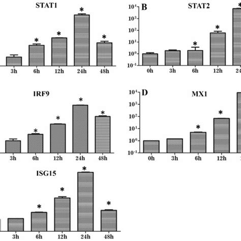 Expression Patterns Of Jak Stat Signaling Pathway Related Genes In Download Scientific Diagram