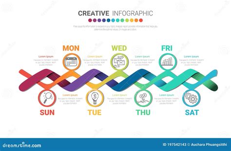 Negocios De Línea De Tiempo Para 7 Días Semana Diseño De Infografía De Línea De Tiempo