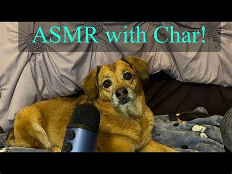 ASMR With My Furever Best Friend Eating Wet Mouth Sounds